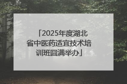 2025年度湖北省中医药适宜技术培训班圆满举办