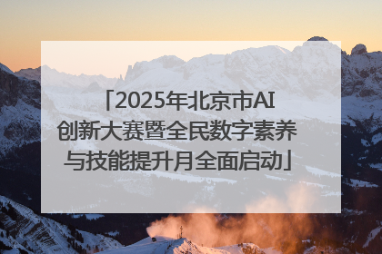 2025年北京市AI创新大赛暨全民数字素养与技能提升月全面启动