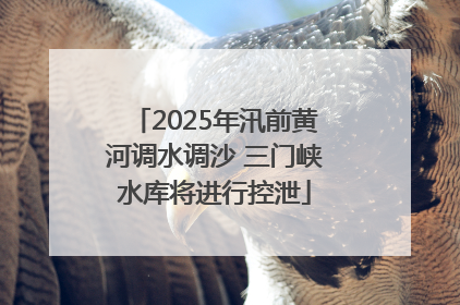 2025年汛前黄河调水调沙 三门峡水库将进行控泄