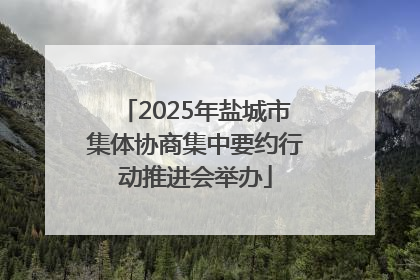 2025年盐城市集体协商集中要约行动推进会举办
