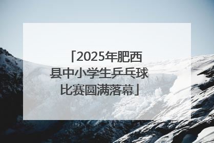 2025年肥西县中小学生乒乓球比赛圆满落幕