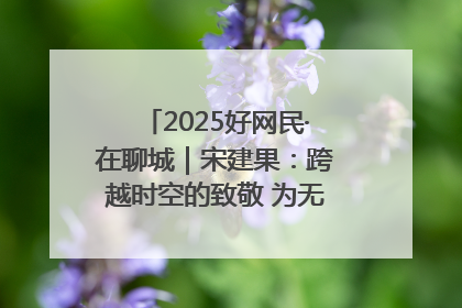 2025好网民·在聊城｜宋建果：跨越时空的致敬 为无名烈士“正名”