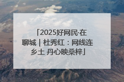2025好网民·在聊城｜杜秀红：网线连乡土 丹心映桑梓
