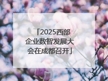 2025西部企业数智发展大会在成都召开