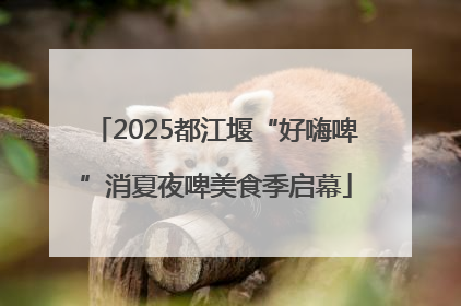 2025都江堰“好嗨啤”消夏夜啤美食季启幕