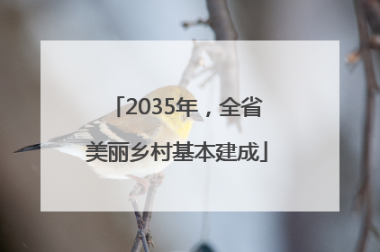 2035年，全省美丽乡村基本建成