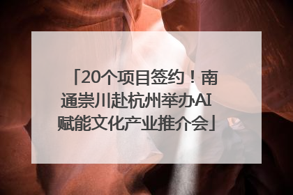 20个项目签约！南通崇川赴杭州举办AI赋能文化产业推介会