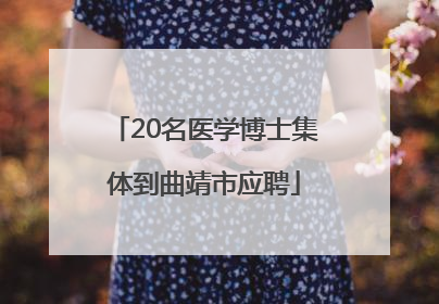 20名医学博士集体到曲靖市应聘