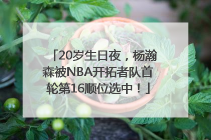 20岁生日夜，杨瀚森被NBA开拓者队首轮第16顺位选中！