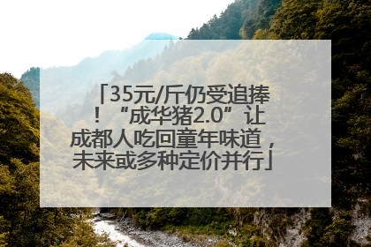 35元/斤仍受追捧！“成华猪2.0”让成都人吃回童年味道，未来或多种定价并行