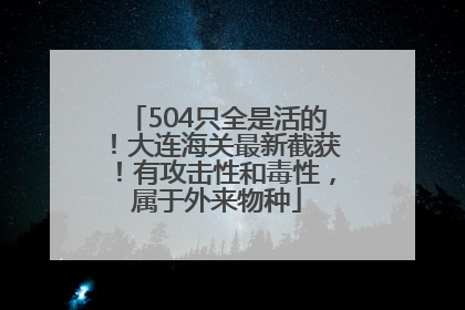 504只全是活的！大连海关最新截获！有攻击性和毒性，属于外来物种