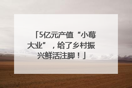 5亿元产值“小莓大业”，给了乡村振兴鲜活注脚！