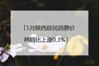 5月陕西居民消费价格同比上涨0.3%