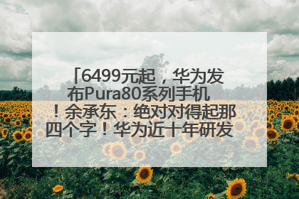 6499元起，华为发布Pura80系列手机！余承东：绝对对得起那四个字！华为近十年研发投入12490亿元