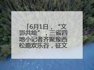6月1日，“文影共绘”，三省四地小记者齐聚豫西松鹿欢乐谷，征文暨短视频大赛精彩启幕！
