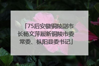 75后安徽铜陵副市长杨文萍履新铜陵市委常委、枞阳县委书记