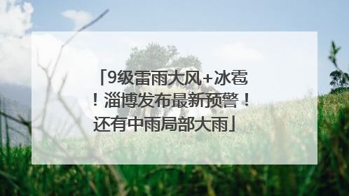 9级雷雨大风+冰雹！淄博发布最新预警！还有中雨局部大雨