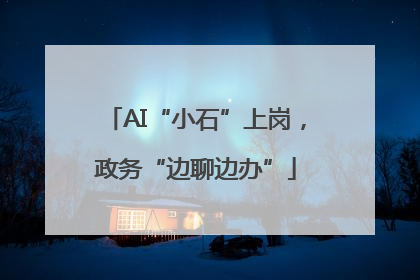 AI“小石”上岗，政务“边聊边办”