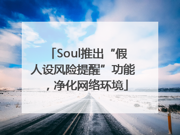 Soul推出“假人设风险提醒”功能，净化网络环境
